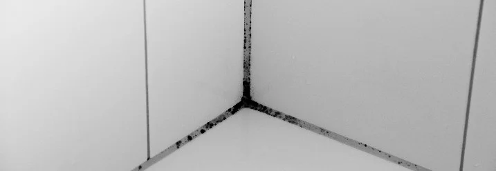 Schwarzer Schimmel in den Fugen einer Duschkabine